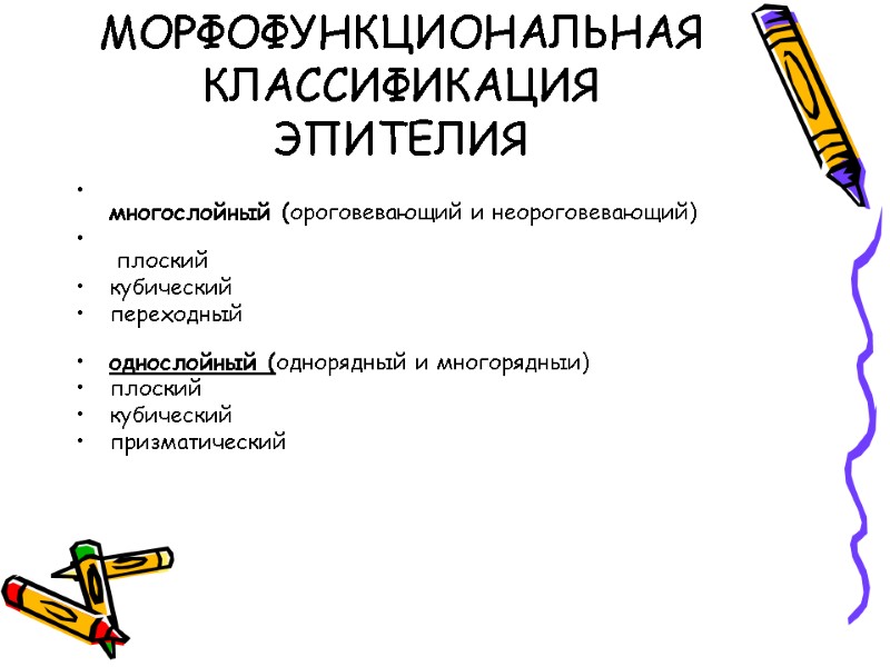 МОРФОФУНКЦИОНАЛЬНАЯ КЛАССИФИКАЦИЯ ЭПИТЕЛИЯ  многослойный (ороговевающий и неороговевающий)   плоский кубический переходный 